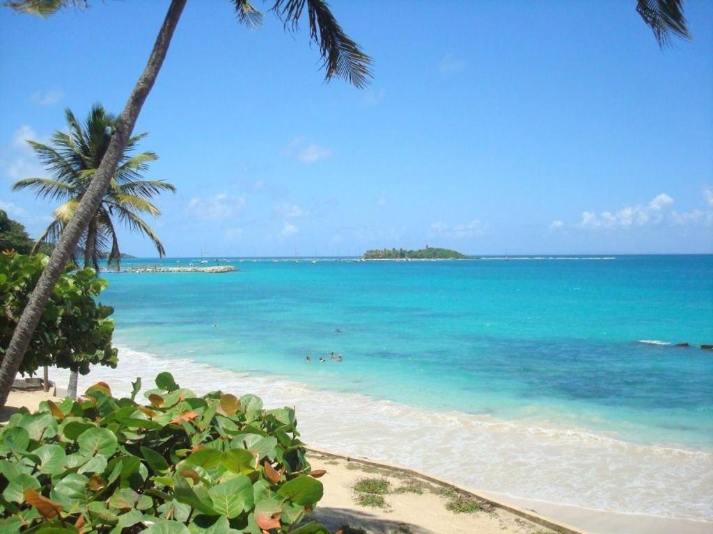 Ilet Bleu Studio Cosy Rdc Vue Mer Et Jardin - Acces Direct Plage Ле-Гозьє Екстер'єр фото