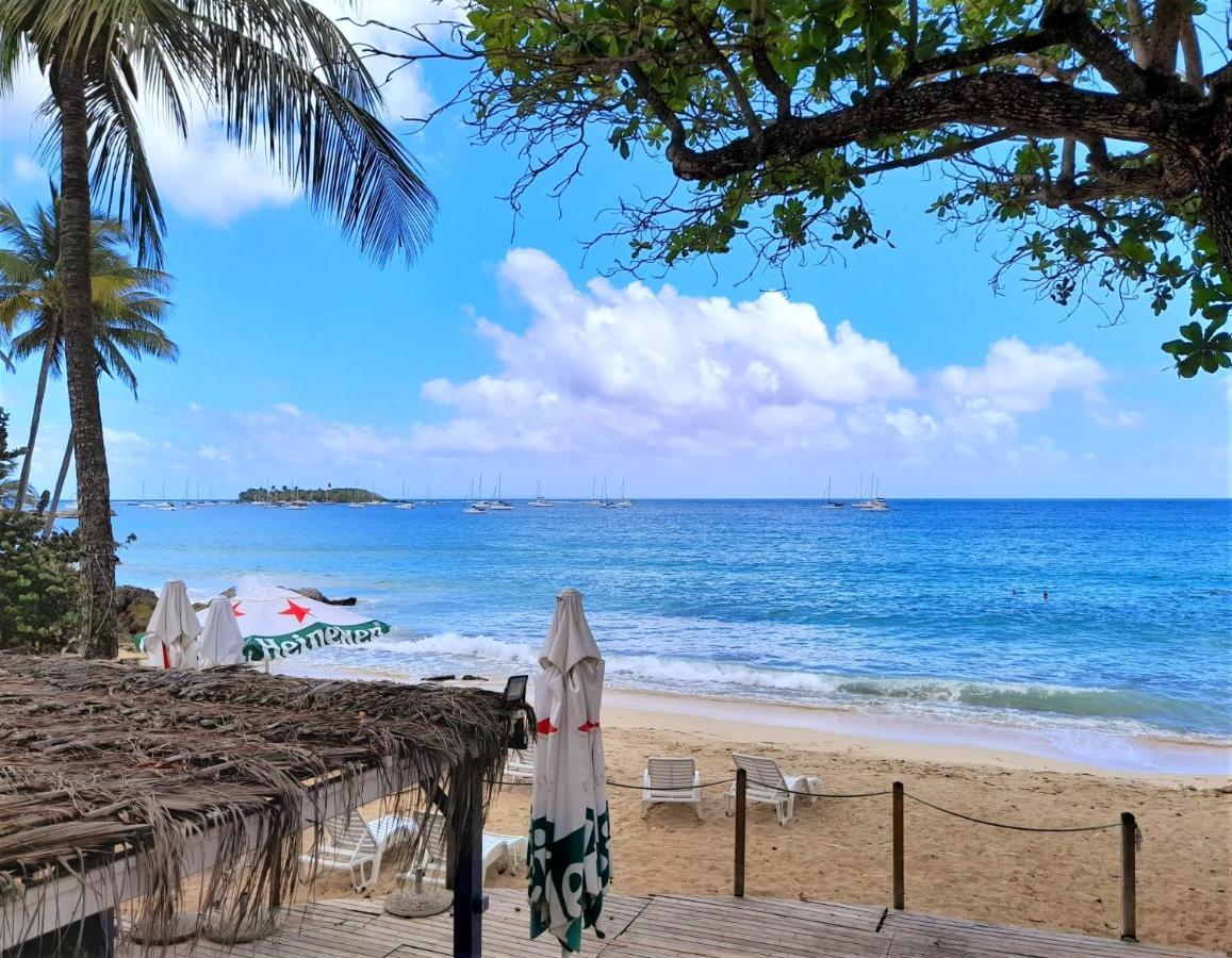 Ilet Bleu Studio Cosy Rdc Vue Mer Et Jardin - Acces Direct Plage Ле-Гозьє Екстер'єр фото