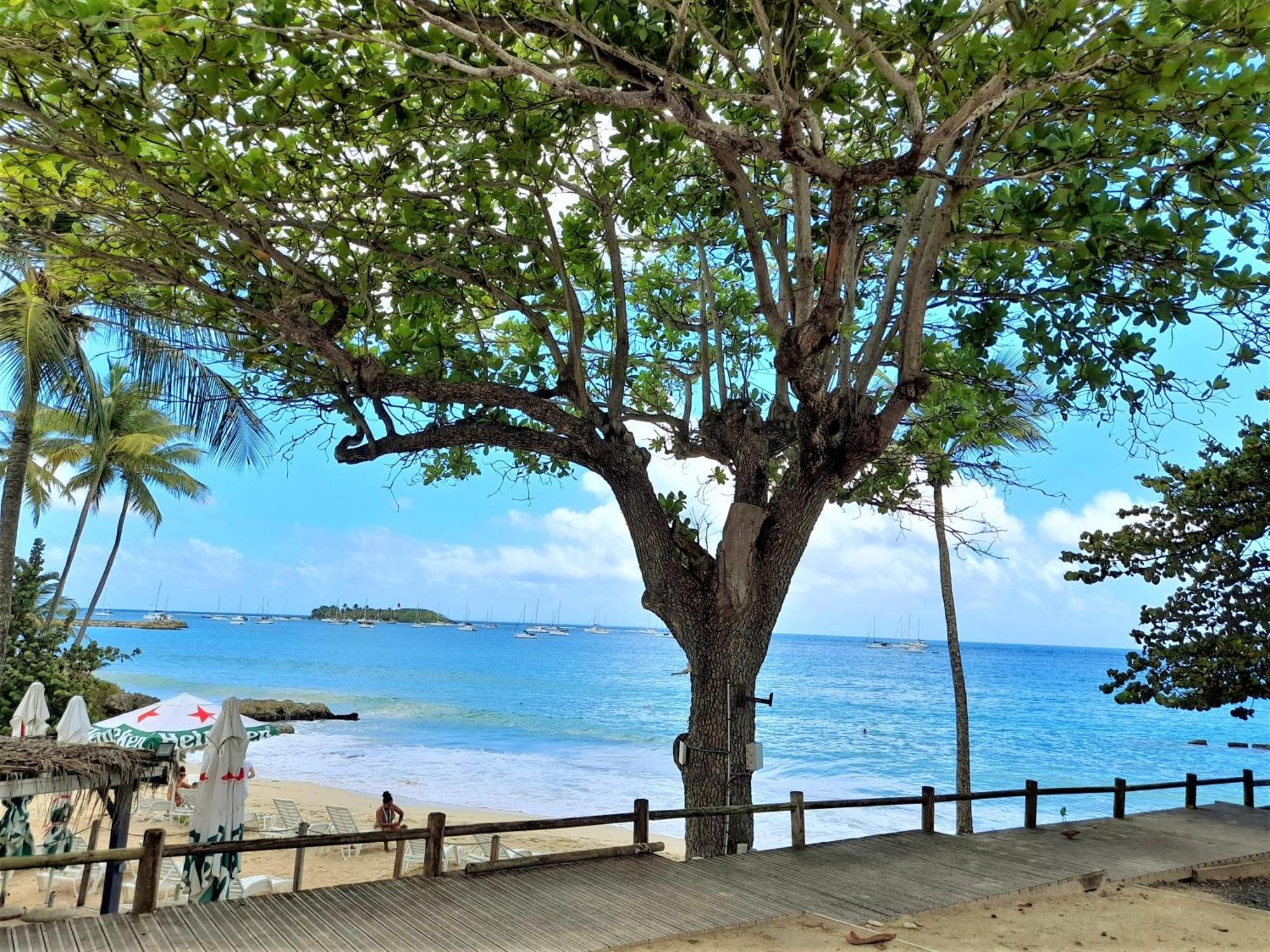 Ilet Bleu Studio Cosy Rdc Vue Mer Et Jardin - Acces Direct Plage Ле-Гозьє Екстер'єр фото